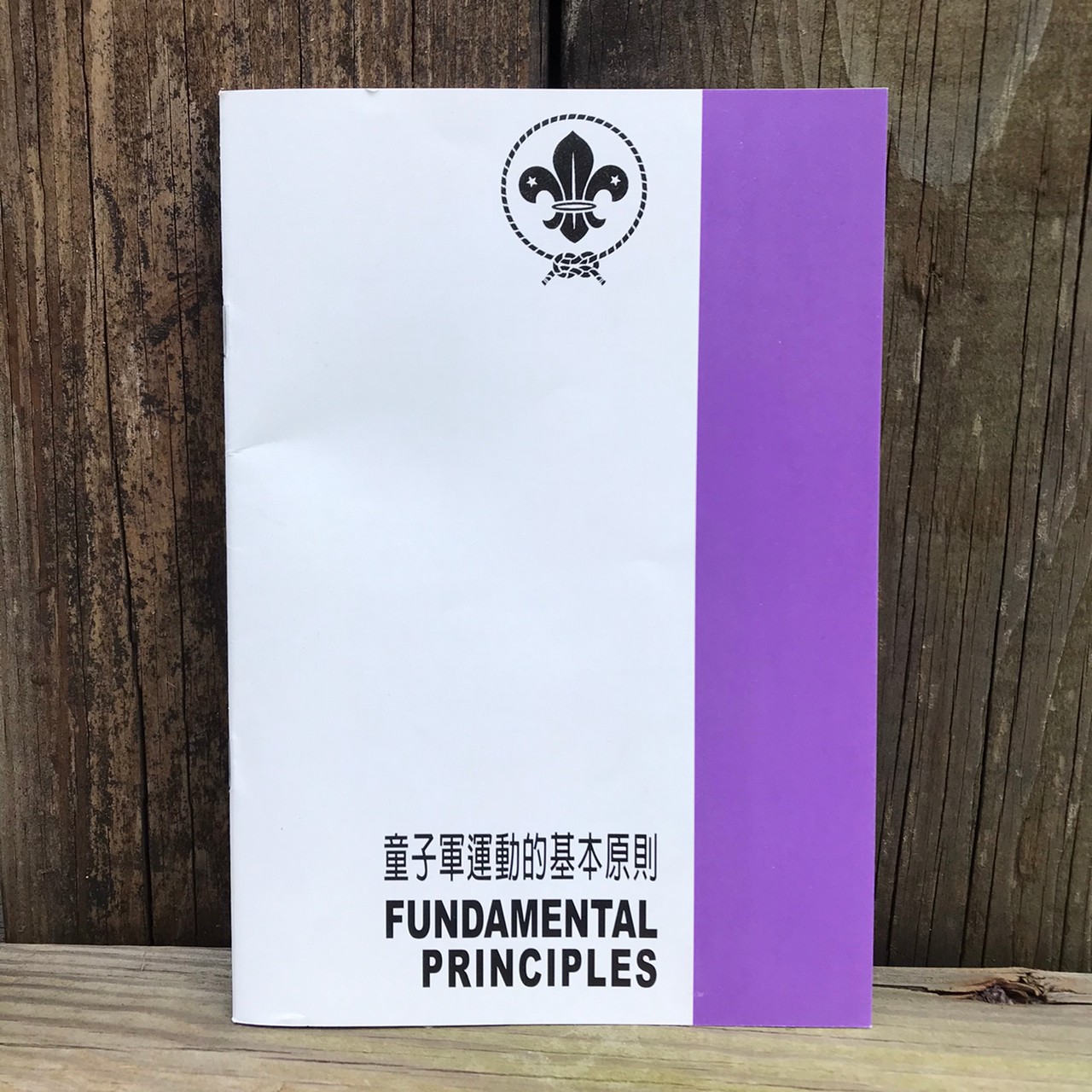 童子軍運動基本原則