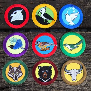 布繡小隊徽-共19種