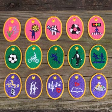 稚齡童軍技能章