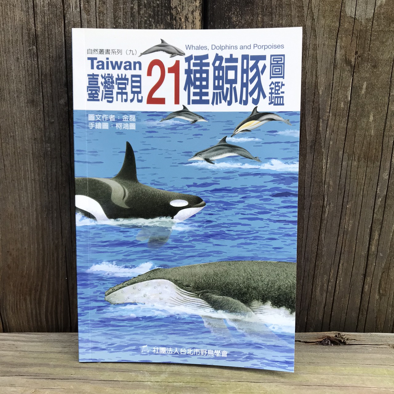 21種臺灣常見鯨豚圖鑑